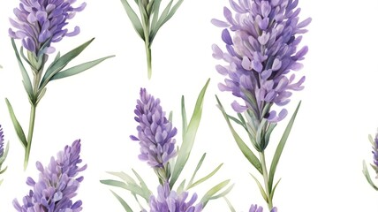 Obraz premium Watercolor Lavender Flower with Soft Purple Petals