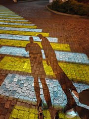 Shadows of pedestrians reflected on vibrant crosswalk in urban area at night
