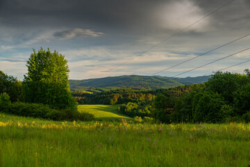 summer landscape with green grass and clouds