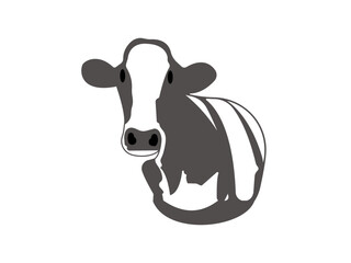 black and white cow