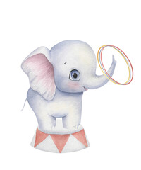 A cute watercolor elephant stands on a circus pedestal
