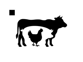 A set of cow silhouette vector art illustration. cow icon in vector art. Black and white vector illustration shows a cow and calf silhouette