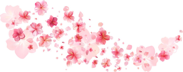 Delicate light pink sakura flowers flow. Wind swirls