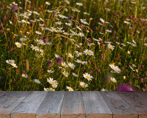 Empty wooden table with blurred daisy field background