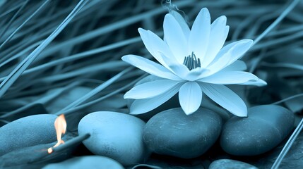 Serene Blue Water Lily with Smooth Stones and Incense