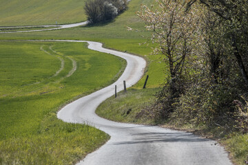 Winding paved country road through green fields with blooming trees
