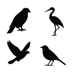 Diverse Bird Silhouette Set Four Different Bird Species Depicted Against White Backdrop.