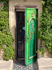 Green door surrounded by greenery invites visitors into a charming entrance in an old town