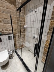 Contemporary bathroom with glass shower enclosure and stone wall accents in a modern space