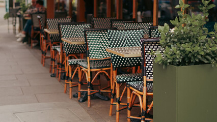 Cozy floral cafe with classic wooden chairs and blooming street atmosphere
