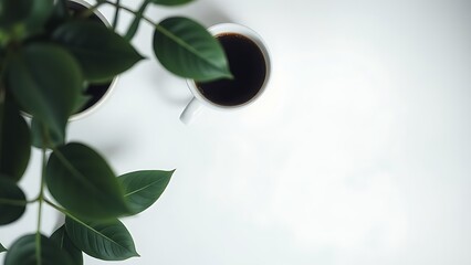 Minimalist desk with coffee cup and plant leaves, showcasing a clean and organized workspace.