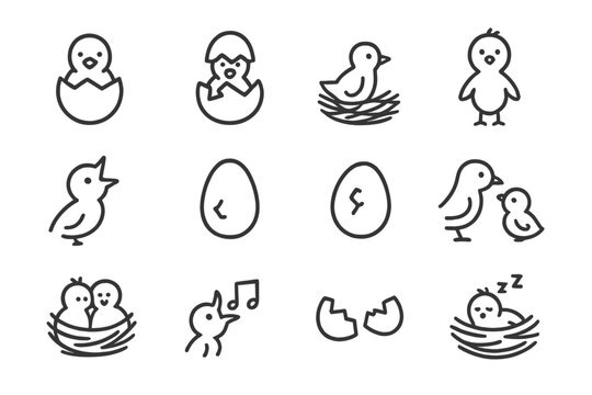 Cute chick and egg icon set on gray background