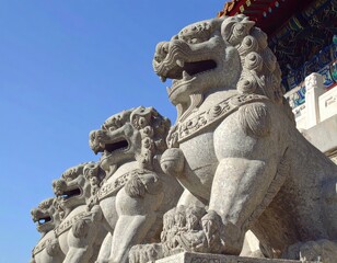 Obraz premium Ancient stone lions guard a temple