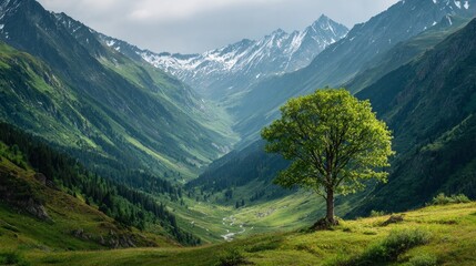 Fototapeta premium Lush green-leafed tree grows near a mountain landscape, with copy space