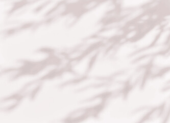 Obraz premium Brown shadow of leaves tree plant overlay on white wall. Sunlight effect shadow on the wall. Minimal blurred backdrop backgrounds. Summer Autumn tropical surface background.