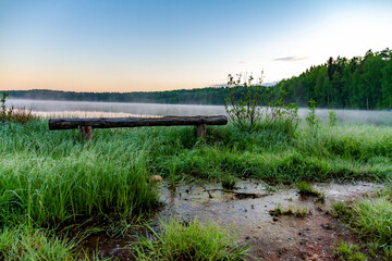 Fototapeta premium Low-angle dawn view of Pastor Lake, Saint Petersburg. Morning mist over water, grassy hummocks with wooden bench, forested shores in soft predawn light. Peaceful silence. Saint Petersburg, Russia.