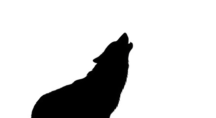 Howling Wolf Silhouette with Head Tilted Up on Transparent Background
