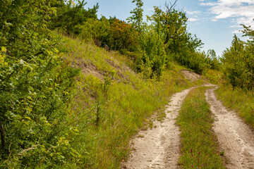 Curving dirt road through grassy hills and summer greenery. Peaceful rural path surrounded by shrubs and trees under a partly cloudy sky