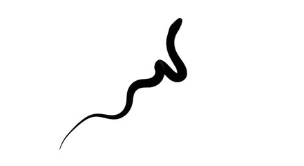 Snake Silhouette on Transparent Background


