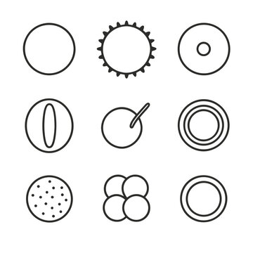 Pollen Morphology Icons. Outline style icons of Pollen Grain Morphology: pollen sphere, exine ornament, aperture pore, colpus