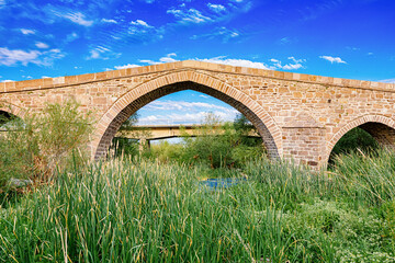Scenic view of an ancient stone bridge arching over a tranquil riverbed filled with lush green...