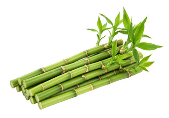 Isolated Stack of Fresh Green Bamboo Stalks with Leaves