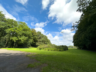 A tranquil park scene with lush green grass, a clear blue sky, and dense trees, perfect for showcasing nature's beauty and serene landscapes