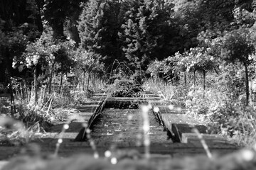 water in the park
