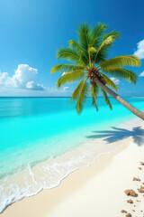 Fototapeta premium palm tree on the beach