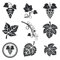 Obraz premium Grapevine leaf and cluster designs grapes leaves