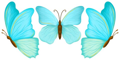 Lovely Spring Flowers and Butterflies