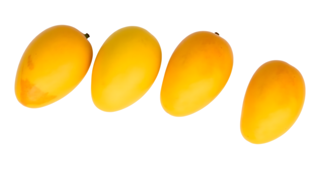 Four ripe yellow mangoes, presented in a diagonal line on a clean transparent background