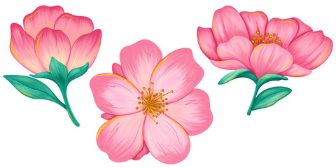 Lovely Spring Flowers and Butterflies