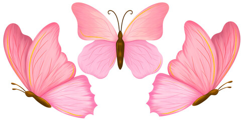 Lovely Spring Flowers and Butterflies