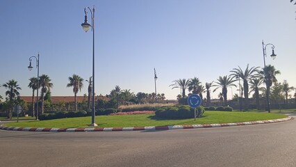 Sunny Tropical Roundabout with Palm Trees and Vintage Street Lamps

