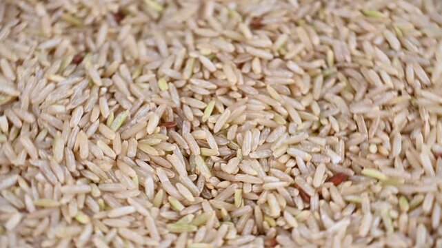 Closeup flowing brown rice grains background with seamless movement