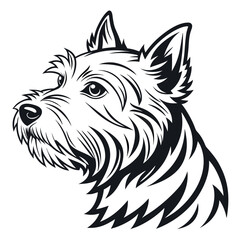 West Highland White Terrier head black and white vector