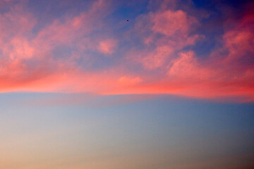 Colorful sunset sky with pink and blue hues, capturing the serene beauty of nature and a small bird...