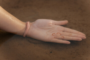 A hand submerged in shallow water gently holds a small, translucent jellyfish, its delicate form...