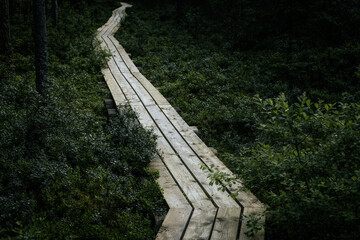 A narrow wooden boardwalk winds through a dense forest and marshy terrain, offering a tranquil...