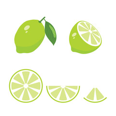 Green Lim Vector. Set fresh Green lime fruits and slice. Isolated on white background.