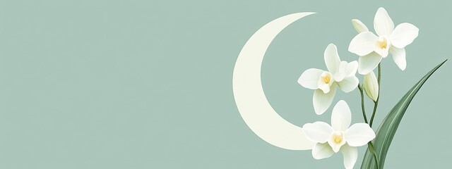 Crescent Moon Orchid Banner, Flat Design. A whimsical and modern banner with star-shaped white flowers.