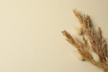 Ddry flowers on beige pastel background.  Ideal for wedding invitations, event announcements, or feminine branding