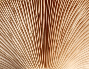 Close-up view of mushroom gills