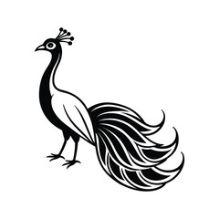 Fototapeta premium A clean line art silhouette of a standing peacock with fanned tail, elegant vector illustration in black on a white background, minimal and ornamental style