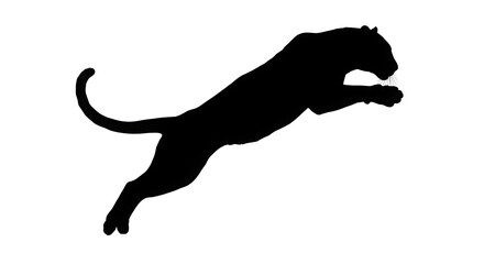 Leaping Panther Silhouette on Transparent Background