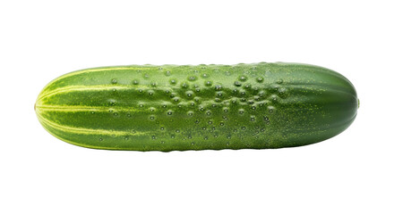 Isolated Fresh Cucumber