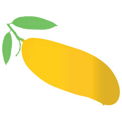  yellow mango illustration vector