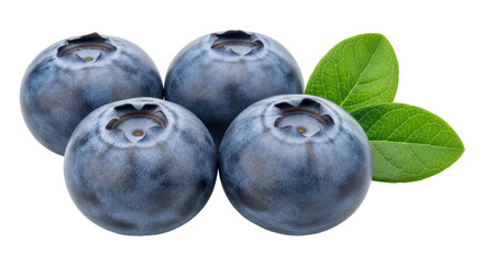 Isolated Fresh Blueberries