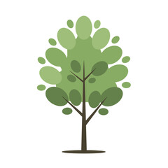 Obraz premium Green tree with round leaves on transparent background